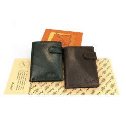 Ref:POCH1066 / CARTERA PIELINI