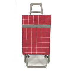 REF:ZZ306-2 / CARRO DE COMPRAN DOS RUEDA